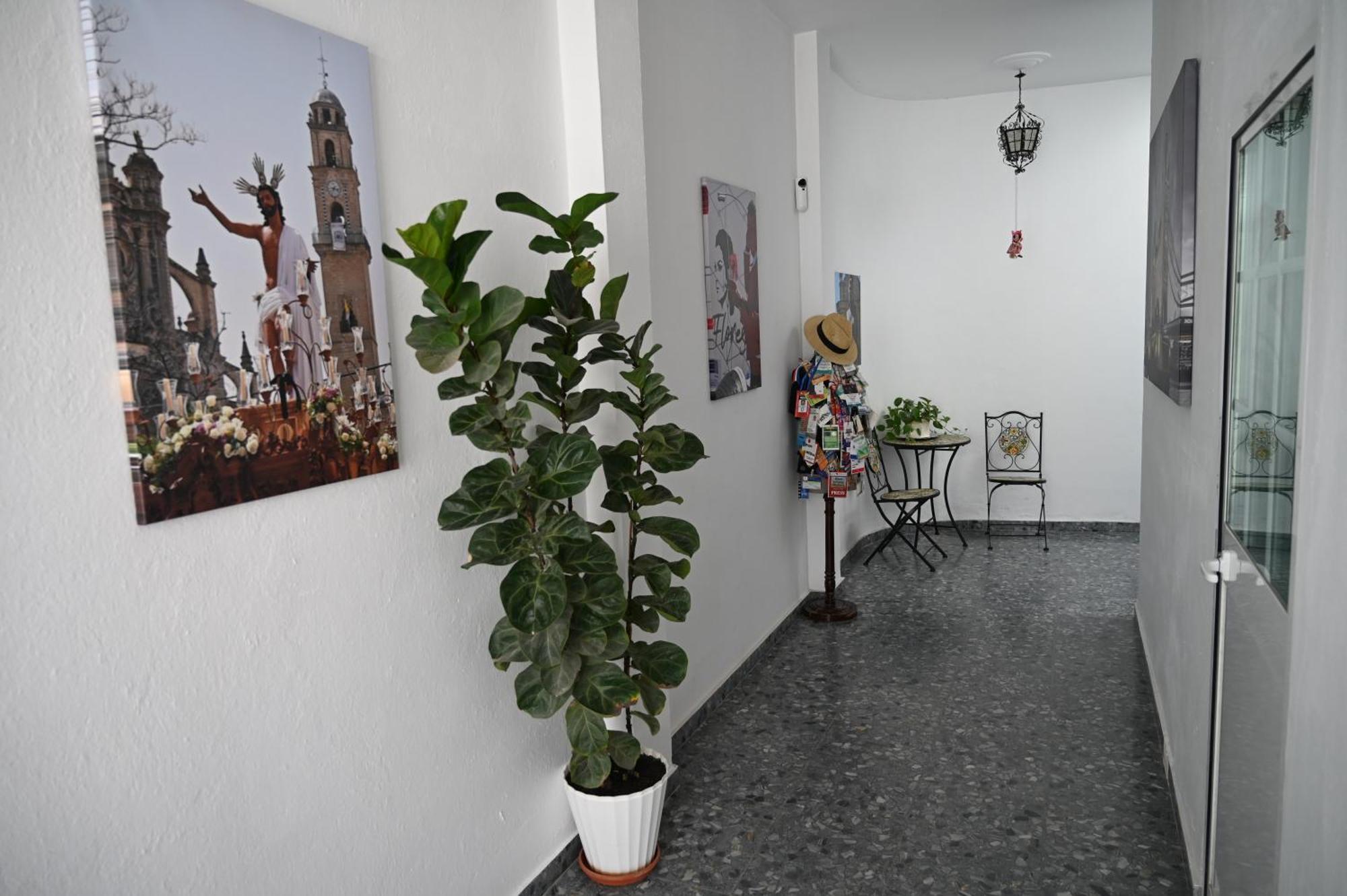 Bienvenidos A San Miguel Apartman Jerez de la Frontera Kültér fotó